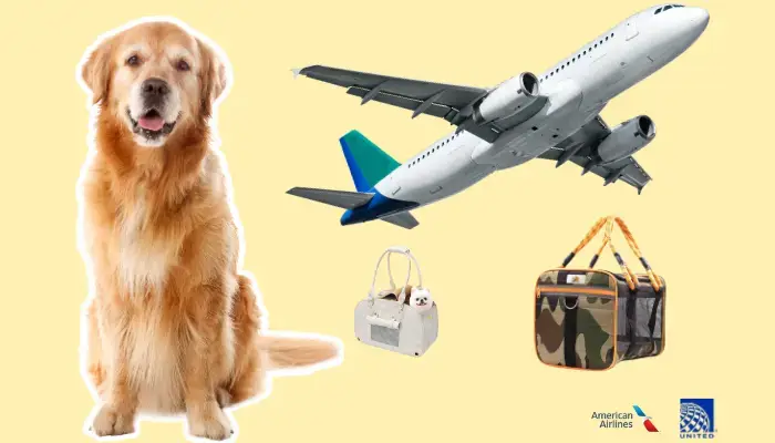 How to Fly with a Dog Airline Tips for Pet Owners