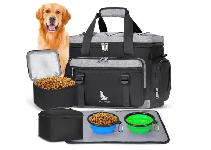 Why Your Dog Needs a Travel Suitcase