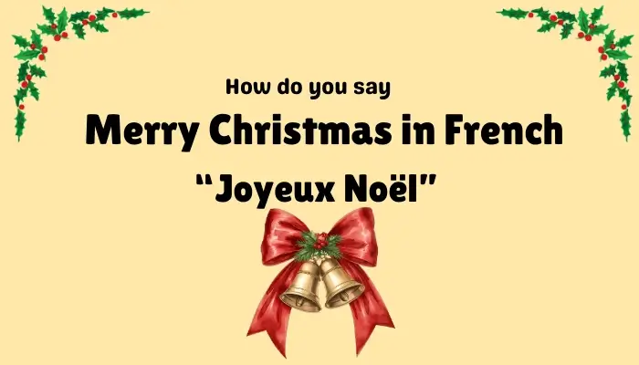 Merry Christmas in French